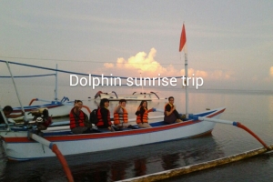 Dolphin Sunrise Trip