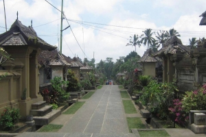 Bali village