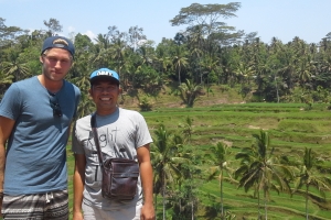 Bali Tour Guide rice terraces