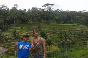 Bali Tour Guide rice terraces