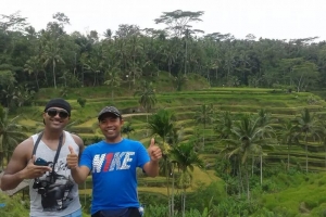 rice terraces bali