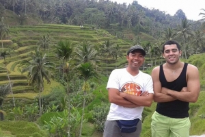bali rice terraces