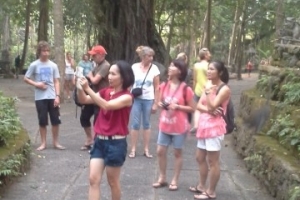 Bali Tour Guide monkey forest