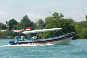 Bali boat tour